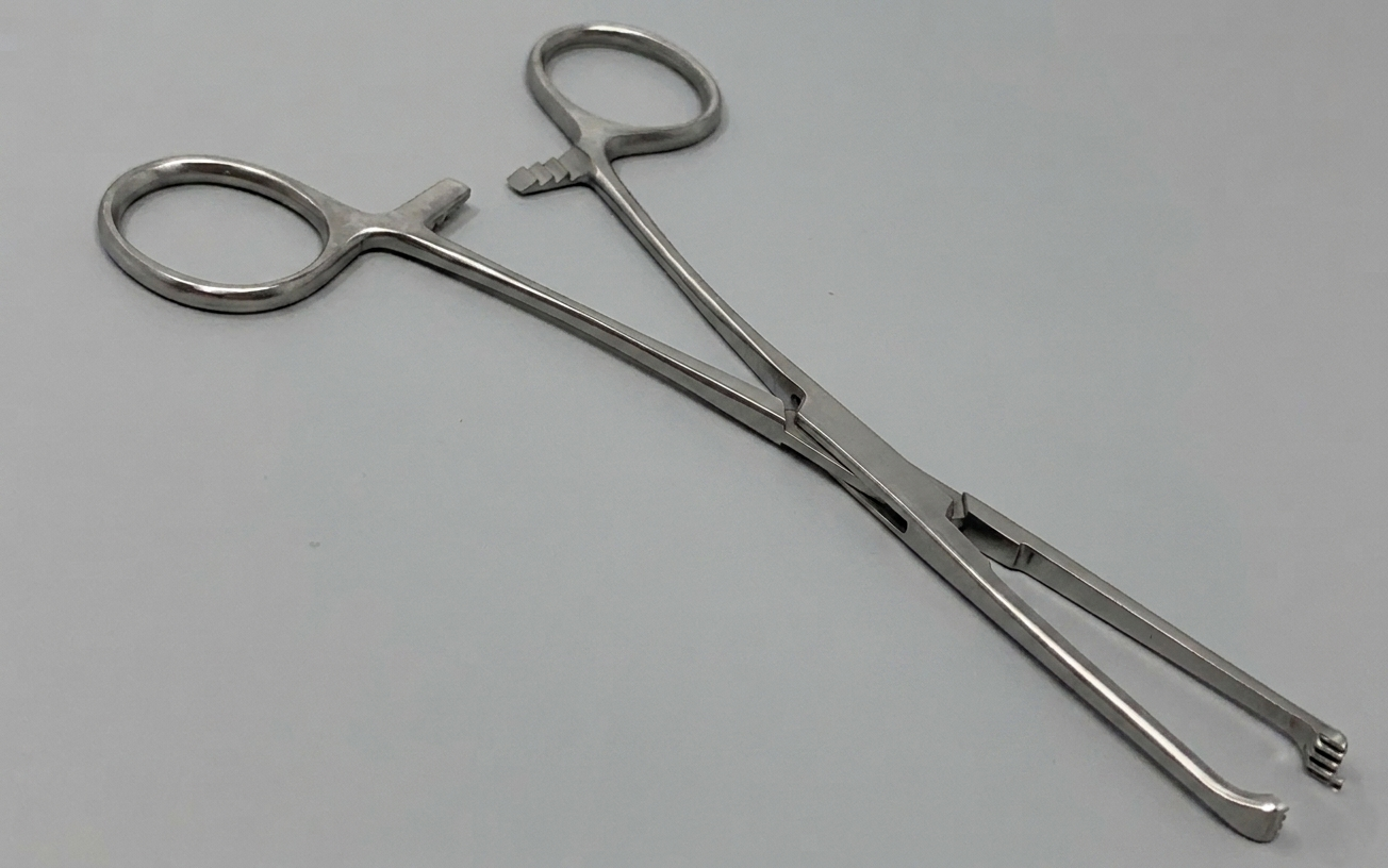 Pinza Allis 15cm